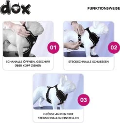 DDOXX Hondenharnas, Reflecterend, Verstelbaar, Breakaway | Borstharnas Voor Klein, Middelgroot | Hondenharnas Hond Kat Puppy Auto | Kattenharnas Puppy Harnas | Roze Roze, S 18 DDOXX Hondenharnas, Reflecterend, Verstelbaar, Breakaway | Borstharnas Voor Klein, Middelgroot | Hondenharnas Hond Kat Puppy Auto | Kattenharnas Puppy Harnas | Roze Roze, S -Hondenartikelen Serie Winkel 1165x1200 10