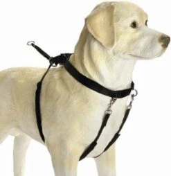 Beeztees Gentle Walker - Hondentuig - Zwart - M 13 Beeztees Gentle Walker - Hondentuig - Zwart - M -Hondenartikelen Serie Winkel 1166x1200 12