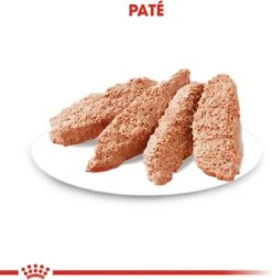 Royal Canin Ccn Sterilised Wet - Hondenvoer - 12x85 G -Hondenartikelen Serie Winkel 1166x1200 3