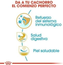 Royal Canin French Bulldog Junior 3 KG 25 Royal Canin French Bulldog Junior 3 KG -Hondenartikelen Serie Winkel 1168x1200 1