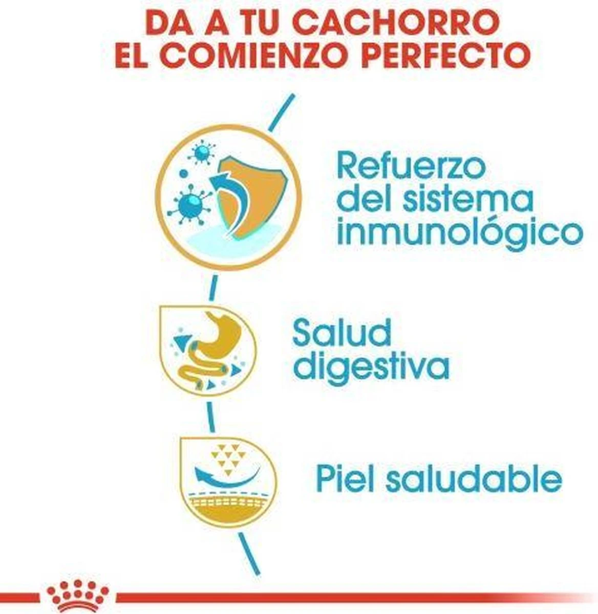 Royal Canin French Bulldog Junior 3 KG 10 Royal Canin French Bulldog Junior 3 KG - Afbeelding 8