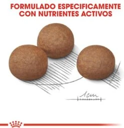 Royal Canin Digestive Care Maxi - Hondenvoer - 12 Kg 26 Royal Canin Digestive Care Maxi - Hondenvoer - 12 Kg -Hondenartikelen Serie Winkel 1168x1200 2