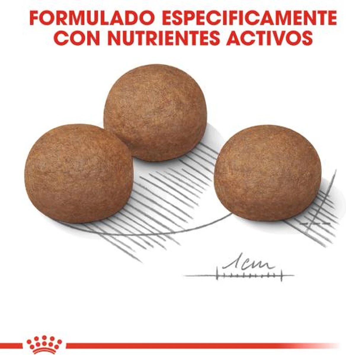 Royal Canin Digestive Care Maxi - Hondenvoer - 12 Kg 14 Royal Canin Digestive Care Maxi - Hondenvoer - 12 Kg - Afbeelding 12