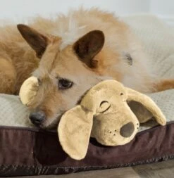 HuggiePup, Hartslagknuffel - Knuffelhond Met Hartslag En Warmhoud Zakje – Warmte Knuffel – Puppy Knuffel – Puppyknuffel Met Hartslag – Snuggle Puppy - Heartbeat -Hondenartikelen Serie Winkel 1171x1200 14