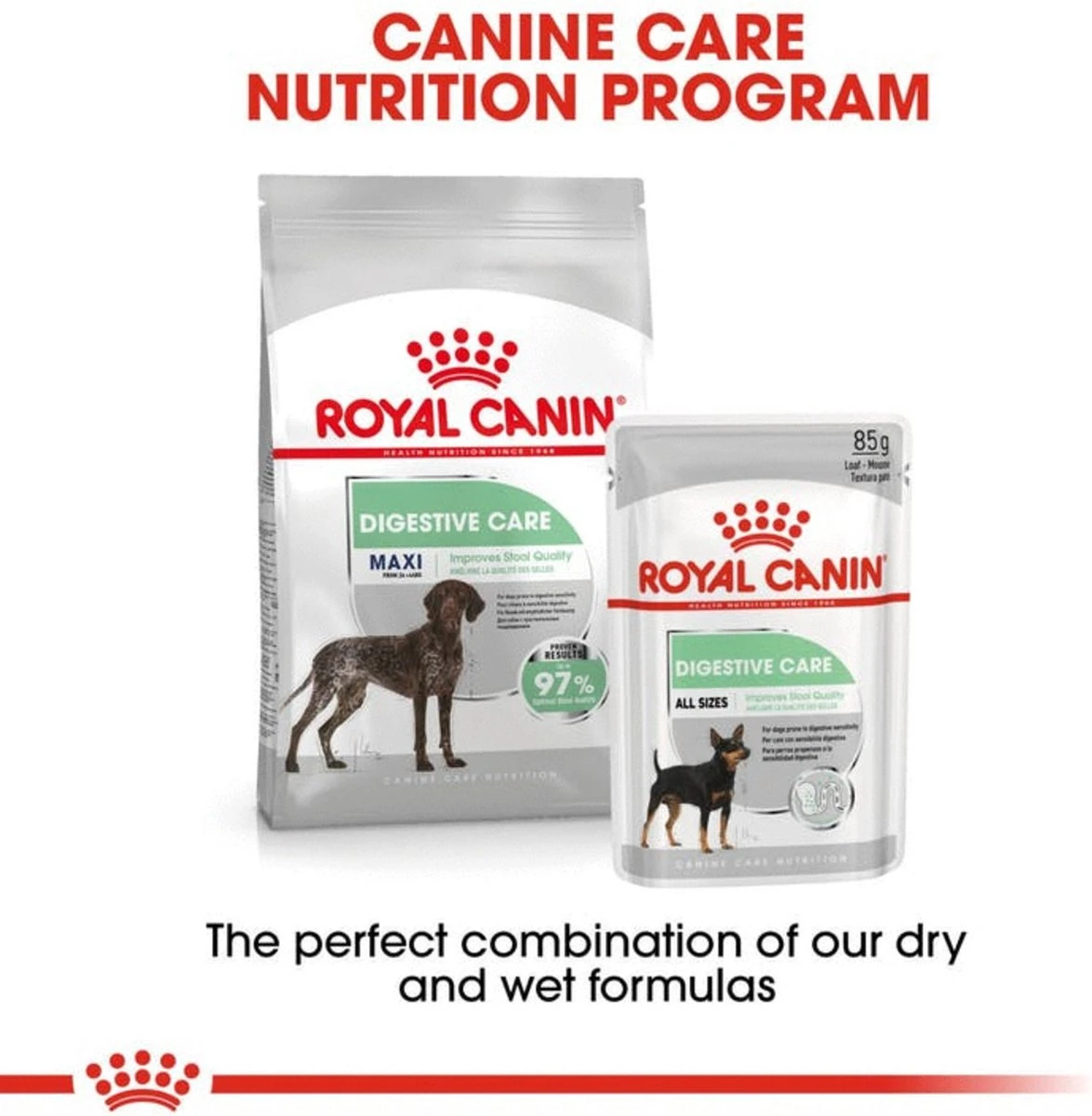 Royal Canin Digestive Care Maxi - Hondenvoer - 12 Kg 9 Royal Canin Digestive Care Maxi - Hondenvoer - 12 Kg - Afbeelding 7