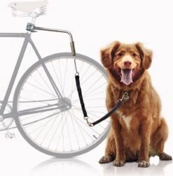 Bella & Balu Hondenriem Voor Fiets | Fietsriem Incl. Bevestiging Voor Zadelpen, Afstandhouder, Korte Geleider, Spiraalveer, Riem En Reflectoren - Voor Veilig Fietsen Met Hond