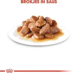 Royal Canin Shn Mini Adult Pouch - Hondenvoer - 12 X 85 G 17 Royal Canin Shn Mini Adult Pouch - Hondenvoer - 12 X 85 G -Hondenartikelen Serie Winkel 1177x1200 1