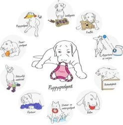 Trixie Dogtoy Dog Activity Strategy Game Gamble Box - Piepend Speelgoed - 15cm X 15cm X 9cm - Zwart/rood/oranje -Hondenartikelen Serie Winkel 1178x1200 28