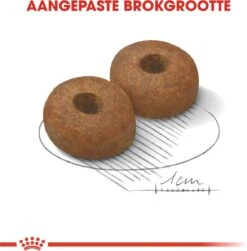 Royal Canin Maxi Ageing 8+ 15 KG 23 Royal Canin Maxi Ageing 8+ 15 KG -Hondenartikelen Serie Winkel 1179x1200