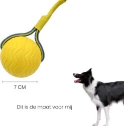 Leashr Honden Speelgoed - Bal Aan Touw - 2 Stuks - Touw - Koord - Kauwspeelgoed - Apporteer - Hond - 7 CM 12 Leashr Honden Speelgoed - Bal Aan Touw - 2 Stuks - Touw - Koord - Kauwspeelgoed - Apporteer - Hond - 7 CM -Hondenartikelen Serie Winkel 1180x1200 13