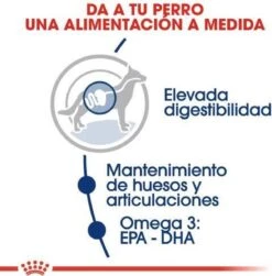 Royal Canin Maxi Adult 5+ Jaar Oud - Hondenvoer - 15 Kg -Hondenartikelen Serie Winkel 1180x1200