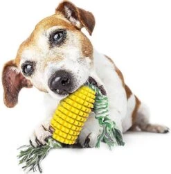 Merkloos Corn Dog Toothbrush - Honden Speelgoed - Hondenspeelgoed - Honden Tandenborstel - Gezond Dieet - Hondenspeeltje - Honden Speelgoed Intelligentie 15 Merkloos Corn Dog Toothbrush - Honden Speelgoed - Hondenspeelgoed - Honden Tandenborstel - Gezond Dieet - Hondenspeeltje - Honden Speelgoed Intelligentie -Hondenartikelen Serie Winkel 1183x1200 9