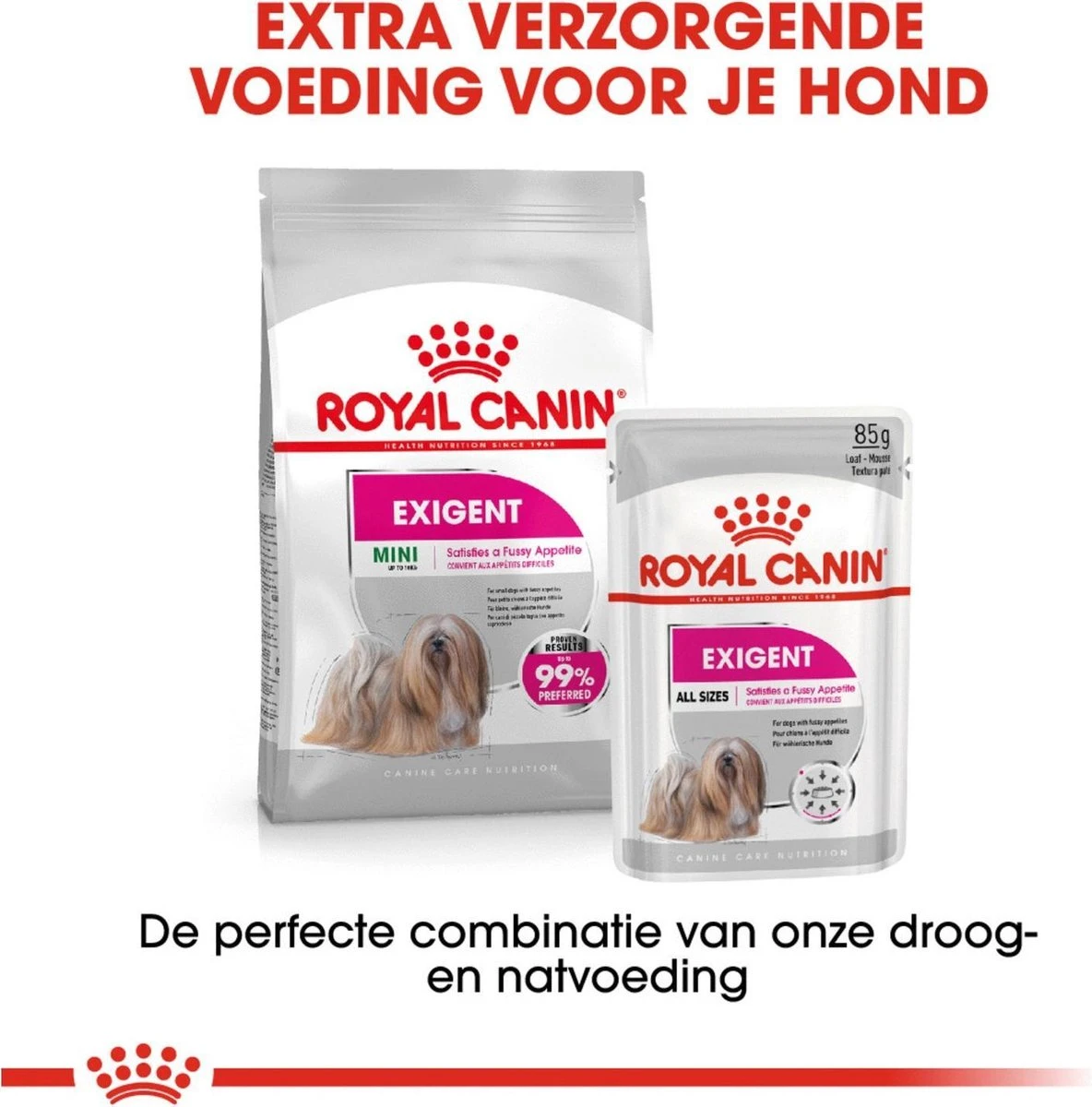 Royal Canin Ccn Exigent Mini - Hondenvoer - 1 Kg 7 Royal Canin Ccn Exigent Mini - Hondenvoer - 1 Kg - Afbeelding 5