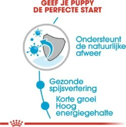 Royal Canin Shn Medium Puppy Pouch - Hondenvoer - 10 X 140 G -Hondenartikelen Serie Winkel 1184x1200 6