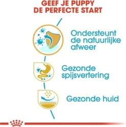 Royal Canin French Bulldog Junior 3 KG 22 Royal Canin French Bulldog Junior 3 KG -Hondenartikelen Serie Winkel 1185x1200 3