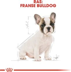 Royal Canin French Bulldog Junior 3 KG 24 Royal Canin French Bulldog Junior 3 KG -Hondenartikelen Serie Winkel 1185x1200 4