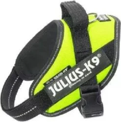 Julius K9 Julius-K9 IDC®Powertuig, XS - Mini-Mini, Neon -Hondenartikelen Serie Winkel 1186x1200 16