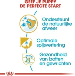 Royal Canin German Shepherd Puppy - Hondenvoer - 12 Kg 22 Royal Canin German Shepherd Puppy - Hondenvoer - 12 Kg -Hondenartikelen Serie Winkel 1186x1200