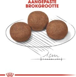 Royal Canin Medium Junior 15 KG -Hondenartikelen Serie Winkel 1186x1200 3