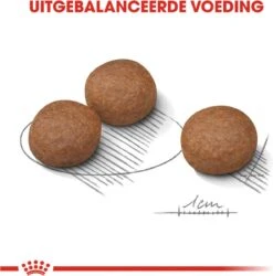 Royal Canin Digestive Care Medium - Hondenvoer - 12 Kg 13 Royal Canin Digestive Care Medium - Hondenvoer - 12 Kg -Hondenartikelen Serie Winkel 1186x1200 4