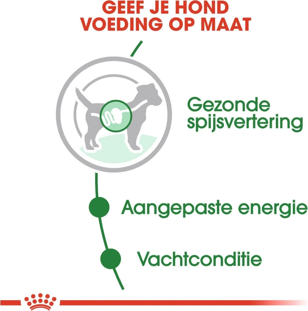 Royal Canin Shn Mini Adult Pouch - Hondenvoer - 12 X 85 G 5 Royal Canin Shn Mini Adult Pouch - Hondenvoer - 12 X 85 G - Afbeelding 3