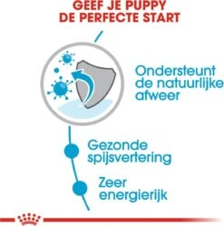 Royal Canin Shn Mini Puppy Pouch - Hondennatvoer - 12 X 85 G -Hondenartikelen Serie Winkel 1188x1200 1