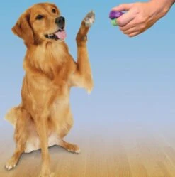 Petsafe Clicker Voor Training 6 Petsafe Clicker Voor Training -Hondenartikelen Serie Winkel 1188x1200 7