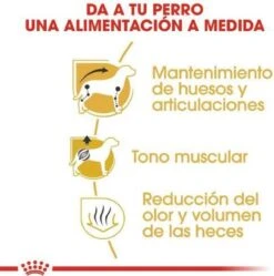 Royal Canin Dachshund/Teckel Adult 7.5 KG 22 Royal Canin Dachshund/Teckel Adult 7.5 KG -Hondenartikelen Serie Winkel 1190x1200 1