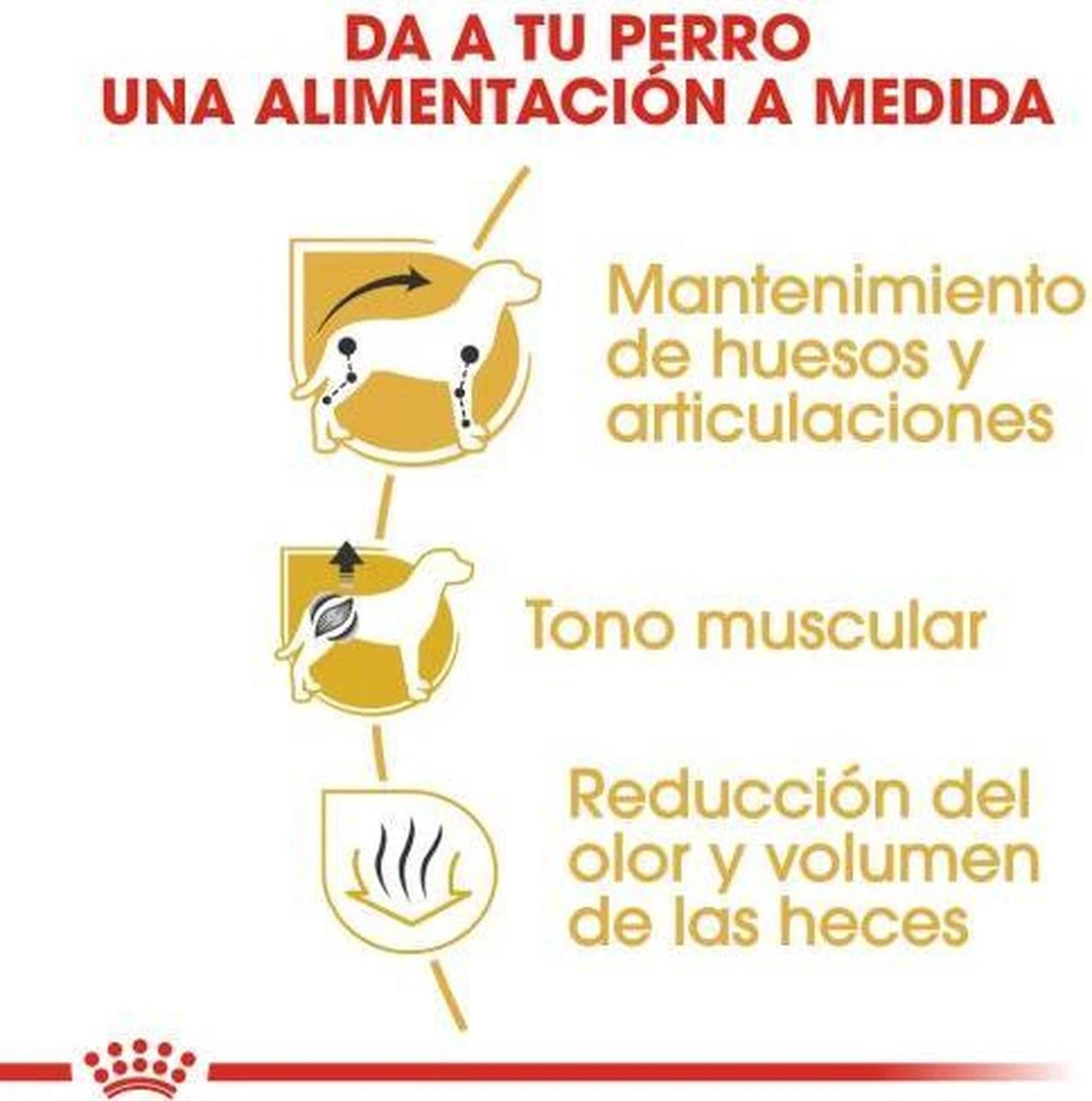 Royal Canin Dachshund/Teckel Adult 7.5 KG 9 Royal Canin Dachshund/Teckel Adult 7.5 KG - Afbeelding 7