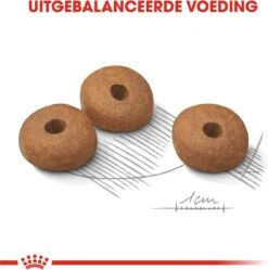 Royal Canin Mini Light 8 KG -Hondenartikelen Serie Winkel 1190x1200