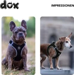 DDOXX Borstharnas Air Mesh, Step-In, Reflecterend | Vele Kleuren | Voor Kleine, Middelgrote En Middelgrote Honden | Hondenharnas Hond Kat Puppy | Kattenharnas Puppy Harnas | Zwart, M 31 DDOXX Borstharnas Air Mesh, Step-In, Reflecterend | Vele Kleuren | Voor Kleine, Middelgrote En Middelgrote Honden | Hondenharnas Hond Kat Puppy | Kattenharnas Puppy Harnas | Zwart, M -Hondenartikelen Serie Winkel 1191x1200 12