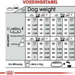 Royal Canin Digestive Care Medium - Hondenvoer - 12 Kg 18 Royal Canin Digestive Care Medium - Hondenvoer - 12 Kg -Hondenartikelen Serie Winkel 1193x1200 1