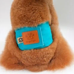 Merkloos Hondenluier Voor Kleine Hond - Luier Voor Reu - Buikband Maat S 27 Cm X 25 Cm -Hondenartikelen Serie Winkel 1194x1200 10