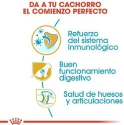 Royal Canin German Shepherd Puppy - Hondenvoer - 12 Kg 25 Royal Canin German Shepherd Puppy - Hondenvoer - 12 Kg -Hondenartikelen Serie Winkel 1197x1200 1