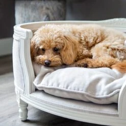 Lord Lou - George Roze Velvet S - Luxe Hondenmand - Luxe Kattenmand - 49x40x31 -Hondenartikelen Serie Winkel 1198x1200 13