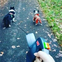 Wigzi Dual Doggie 2.0 Voor Twee Honden - Hondenriem - Grijs - 3m - <22 Kg (per Hond) -Hondenartikelen Serie Winkel 1198x1200 35