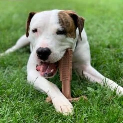 Spot Bam-Bones Plus Easy Grip - Veilig Kauwbot Voor Honden - Speciaal Voor Sterke Kauwers - Verzorgt Het Gebit Van De Hond - Rund Of Kip - S/M/L - Maat: Large, Smaak: Kip -Hondenartikelen Serie Winkel 1198x1200 39