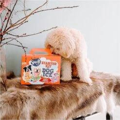 Smoofl Honden Lekkernij - Starter Kit Om Je Eigen Honden Ijs Te Maken, Kit Met 2 Ijsmixen Voor Honden, Pindakaas En Aardbei Smaak, Een Pootvormige Silicone Vorm - Voor 4 Hondenijsjes 14 Smoofl Honden Lekkernij - Starter Kit Om Je Eigen Honden Ijs Te Maken, Kit Met 2 Ijsmixen Voor Honden, Pindakaas En Aardbei Smaak, Een Pootvormige Silicone Vorm - Voor 4 Hondenijsjes -Hondenartikelen Serie Winkel 1199x1200 1