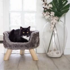 District 70 NORDIC - Luxe Kattenmand Op Pootjes - 40x30x25cm In Silver - Silver 15 District 70 NORDIC - Luxe Kattenmand Op Pootjes - 40x30x25cm In Silver - Silver -Hondenartikelen Serie Winkel 1199x1200 14