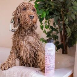 Greenfields Labradoodle Vacht Verzorgingsset - Shampoo En Anti-Klit Spray Voor Langharige Of Krullende Vacht -Hondenartikelen Serie Winkel 1199x1200 19