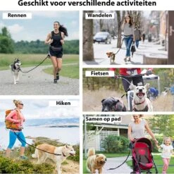Filo Elastische Hondenriem Groot - Hardlopen En Wandelen - Hardloopriem Hond Handsfree Met Heuptasje - Looplijn Met Heupriem - Canicross Gordel Honden - Riemen - Heupgordel - Leiband -Hondenartikelen Serie Winkel 1199x1200 29