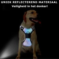 Mister Mill Hondentuigje 2x Klikgesp Maat M Grijs - Anti-Trek Tuig Hondenharnas - Y Tuig Hond Reflecterend 15 Mister Mill Hondentuigje 2x Klikgesp Maat M Grijs - Anti-Trek Tuig Hondenharnas - Y Tuig Hond Reflecterend -Hondenartikelen Serie Winkel 1199x1200 30