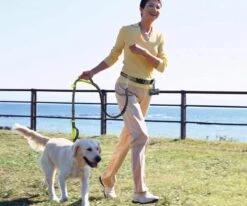 Canicross Looplijn Hond Met Heupriem Voor Hardlopen - Elastische Handsfree Hondenriem - Honden Trainingslijn - 150/210cm - Zwart -Hondenartikelen Serie Winkel 1200x1000 10