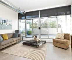 PrimePlus Hondenkussen XL Antraciet - 120x80x10 CM - Zacht En Luxe Hondenmand - Hondenbed - Hondenmat - Orthopedisch Hondenkussens 18 PrimePlus Hondenkussen XL Antraciet - 120x80x10 CM - Zacht En Luxe Hondenmand - Hondenbed - Hondenmat - Orthopedisch Hondenkussens -Hondenartikelen Serie Winkel 1200x1000 2