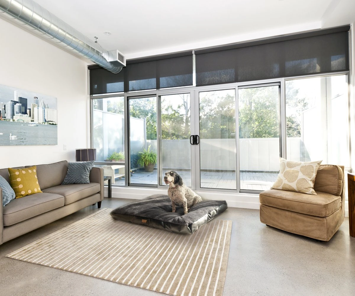 PrimePlus Hondenkussen XL Antraciet - 120x80x10 CM - Zacht En Luxe Hondenmand - Hondenbed - Hondenmat - Orthopedisch Hondenkussens 10 PrimePlus Hondenkussen XL Antraciet - 120x80x10 CM - Zacht En Luxe Hondenmand - Hondenbed - Hondenmat - Orthopedisch Hondenkussens - Afbeelding 8