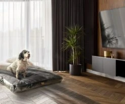 PrimePlus Hondenkussen XL Antraciet - 120x80x10 CM - Zacht En Luxe Hondenmand - Hondenbed - Hondenmat - Orthopedisch Hondenkussens 19 PrimePlus Hondenkussen XL Antraciet - 120x80x10 CM - Zacht En Luxe Hondenmand - Hondenbed - Hondenmat - Orthopedisch Hondenkussens -Hondenartikelen Serie Winkel 1200x1000 3