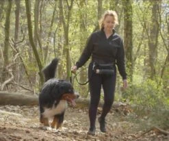 Canicross Looplijn Hond Met Heupriem Voor Hardlopen - Elastische Handsfree Hondenriem - Honden Trainingslijn - 150/200cm - Groen -Hondenartikelen Serie Winkel 1200x1000 8