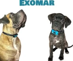 Exomar® Anti Blafband Voor Honden Blafband Anti Blaf Apparaat Blafband Zonder Schok - Diervriendelijk -Hondenartikelen Serie Winkel 1200x1003 1