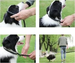 LOUZIR Cesar Millan Sliplijn Met Stop - Hondenriem - Rood - 130 Cm -Hondenartikelen Serie Winkel 1200x1003 2