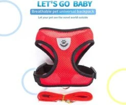 Hondentuig- Hondentuigjes Kleine Hond-hondentuigjes Puppy-Kattenspeeltjes-kat-dog-Kattenharnas-kattentuigje -kattentuigje Met Looplijn-maat M-Rood 8 Hondentuig- Hondentuigjes Kleine Hond-hondentuigjes Puppy-Kattenspeeltjes-kat-dog-Kattenharnas-kattentuigje -kattentuigje Met Looplijn-maat M-Rood -Hondenartikelen Serie Winkel 1200x1007 2